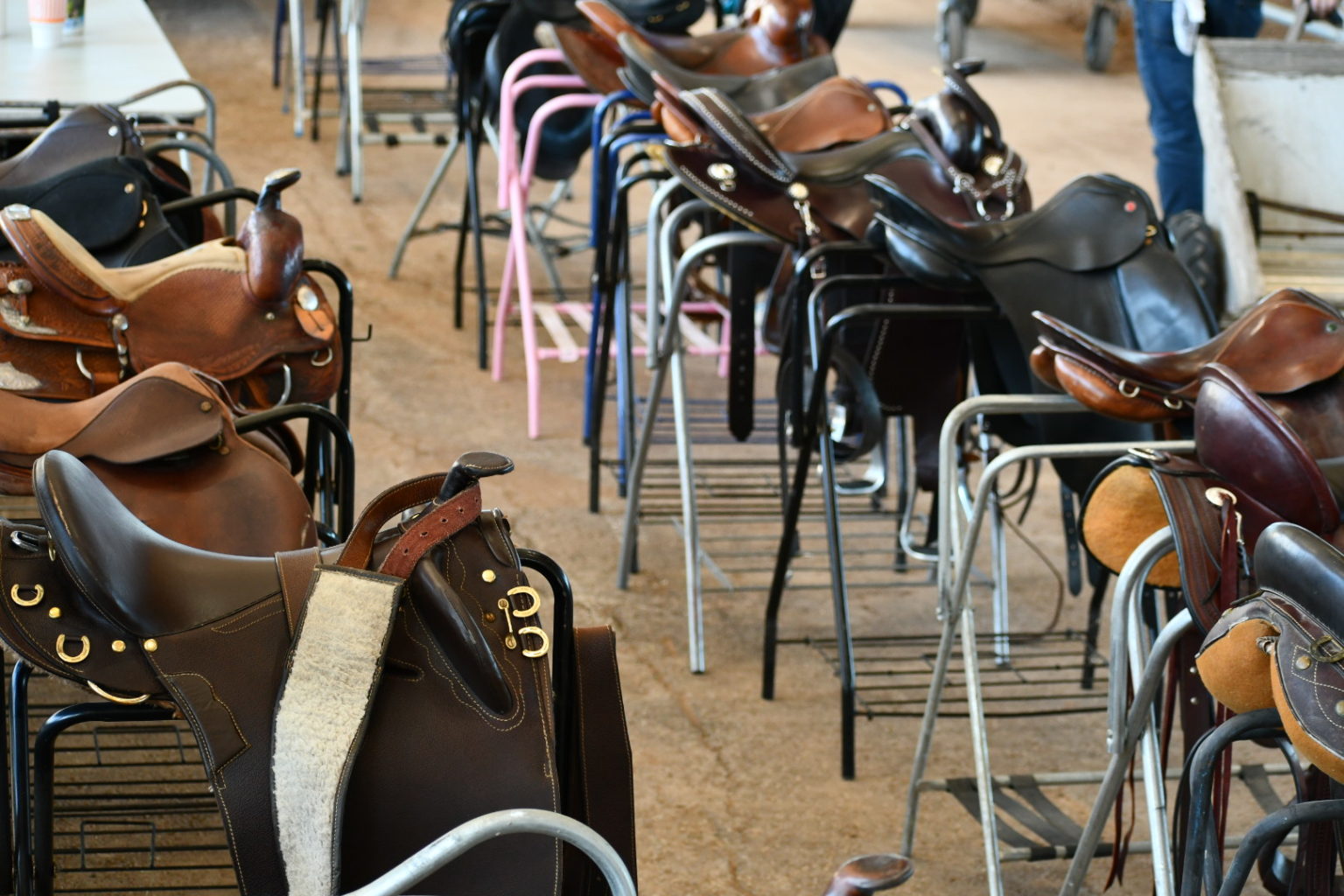 Shopping at the Expo Horse Expo